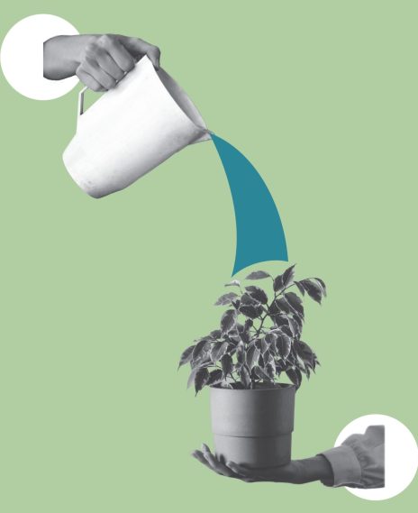 Plant being watered, symbolising growth and nurturing in therapy